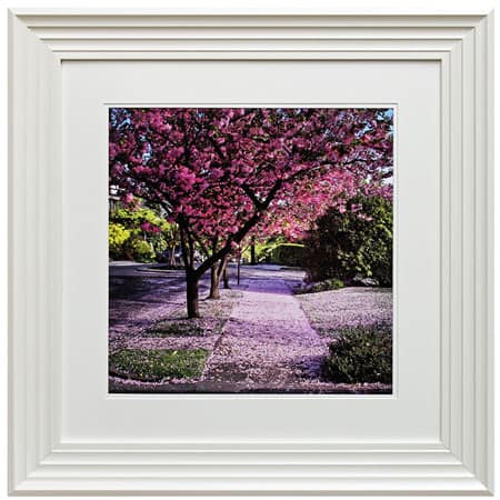 Blossom tree II framed print from Complete Colour