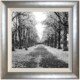 Path Home II Silver framed print from Complete Colour