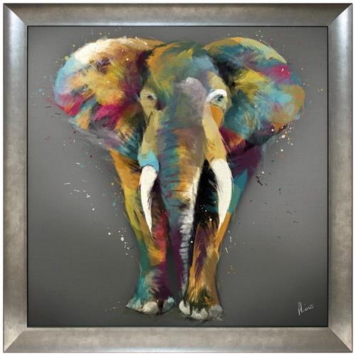 Multi Elephant from Complete Colour