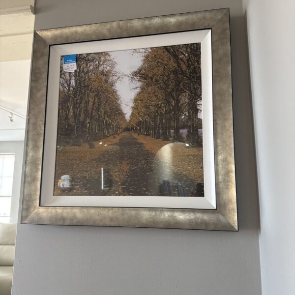 Path Home II - Ex-Display