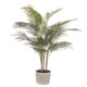Palm Tree in Ceramic Pot 91cm
