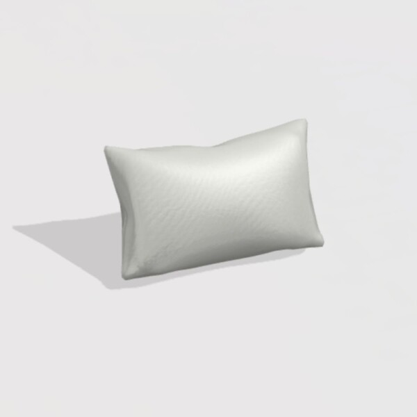 Boston JZ Lumbar Cushion