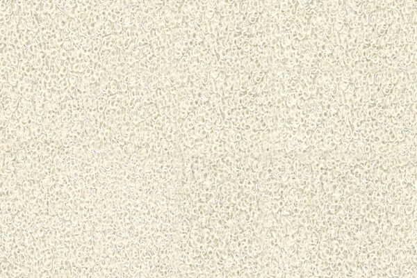 Nassau 03 Beige