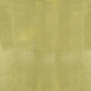 Velsatis 052
