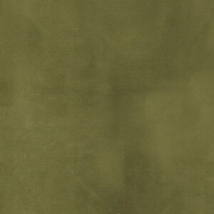 Velsatis 059