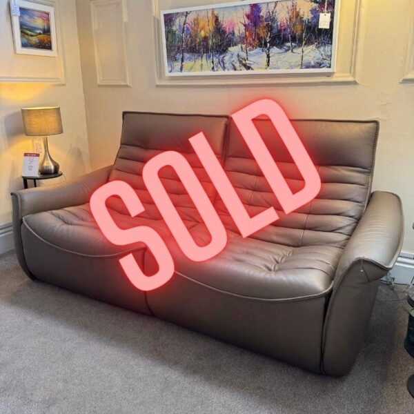 Display Model - Fox Trot Leather, Recliner Sofa 60% Off