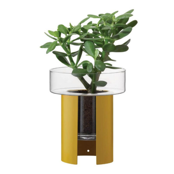 Terrazza Mustard Planter H22cm from LSA