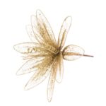 Glitter Wire Poinsettia 29cm