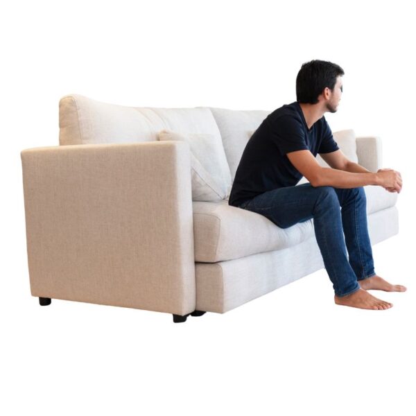 Hector Small 2 seater sofa from Fama