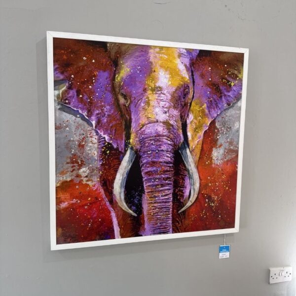 Serengetti Elephant - Ex-Display